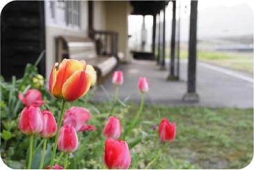 カテゴリ画像 1